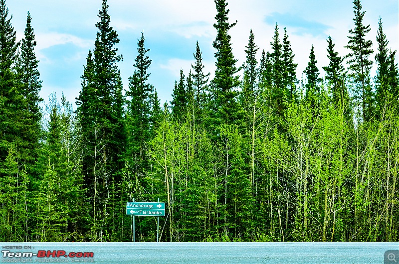 66 Degrees North: Roadtripping in Alaska-alaska-main-highway8719.jpg