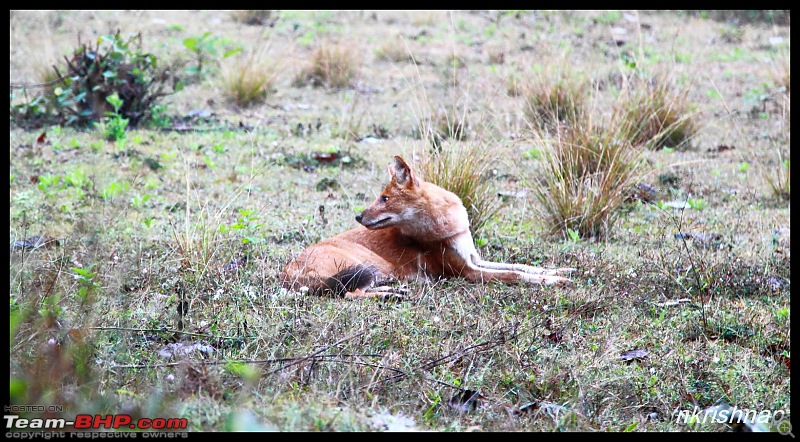 Solitary Exploration of the Nagarhole Forests-img_017.jpg