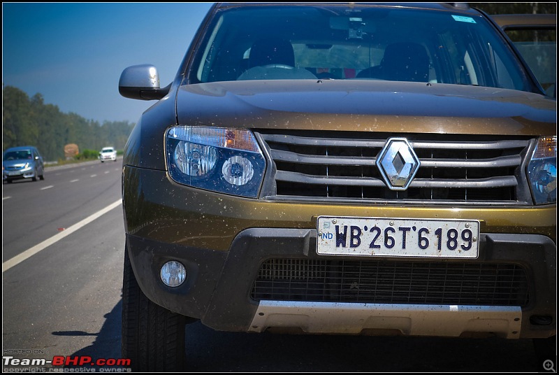 East to West (Kolkata - Amritsar) in a Duster AWD-bug-eater.jpg