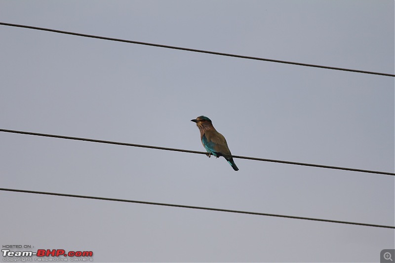 Driving through Melghat - Quickie through Seemadoh, Kolkhas & Chikhaldara-img_2550.jpg