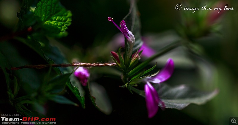 Nandikund Trek: Quest through the Garhwal Himalayas-gaundaar-107-alt-1.jpg