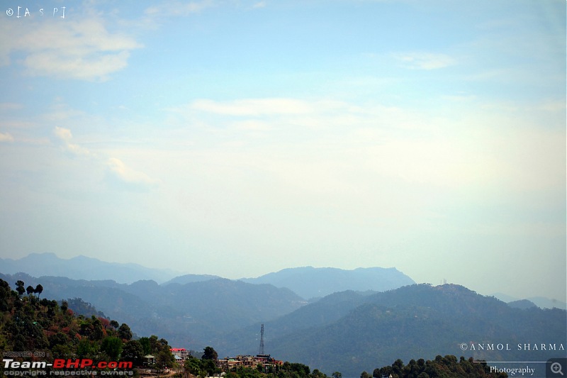 Photologue - A Drive to Kasauli, a drive to remember!-dsc_0433.jpg