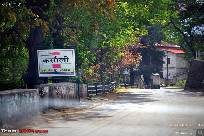 Photologue - A Drive to Kasauli, a drive to remember!-dsc_0445.jpg