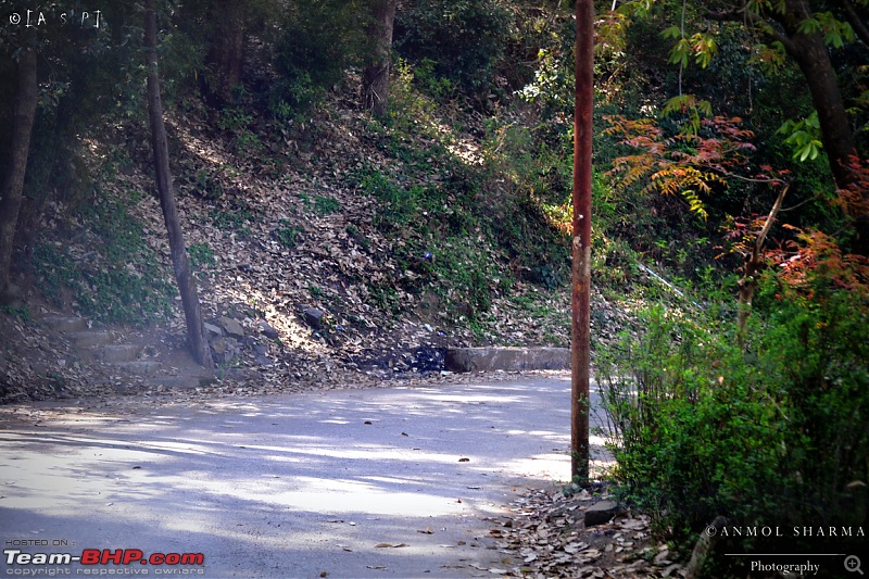 Photologue - A Drive to Kasauli, a drive to remember!-dsc_0499.jpg