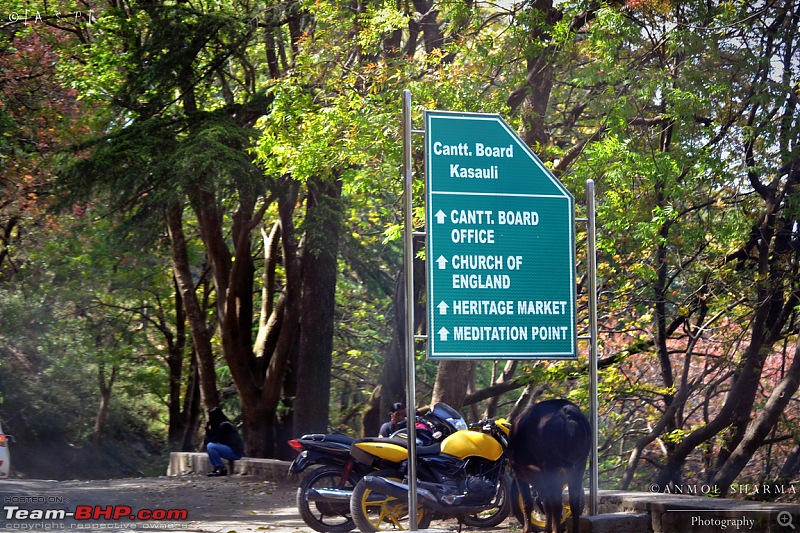 Photologue - A Drive to Kasauli, a drive to remember!-dsc_0503.jpg