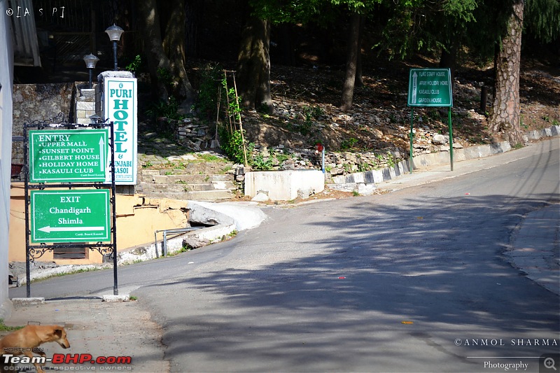 Photologue - A Drive to Kasauli, a drive to remember!-dsc_0554.jpg