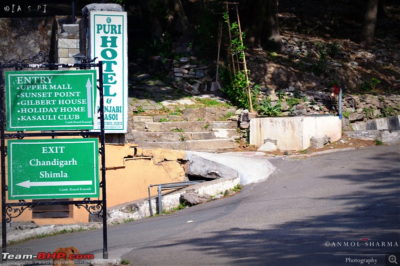 Photologue - A Drive to Kasauli, a drive to remember!-dsc_0556.jpg