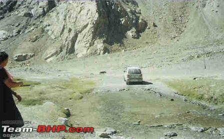 Better Leh'd than Never - a 3,004 kms round trip of a lifetime!-106511190103_0_alb.jpg