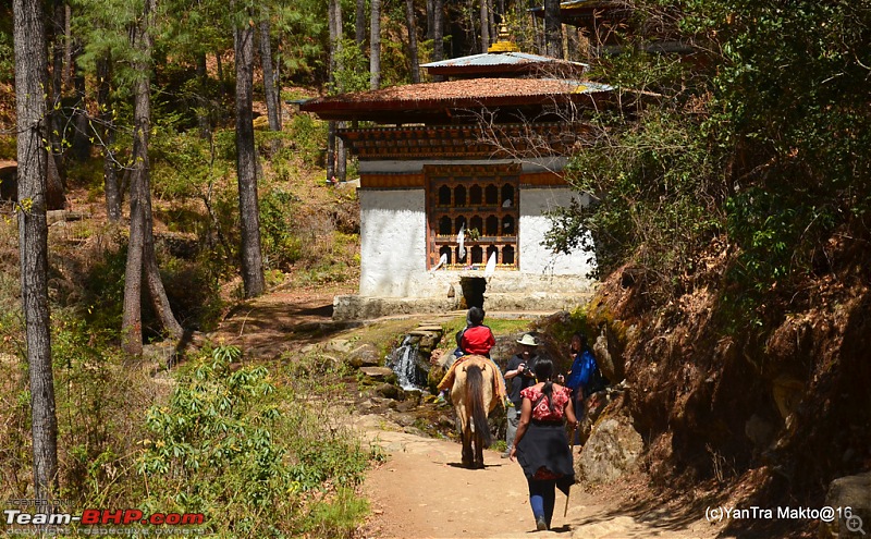 Alto'ed: Blessed in Bhutan-dsc_1801.jpg