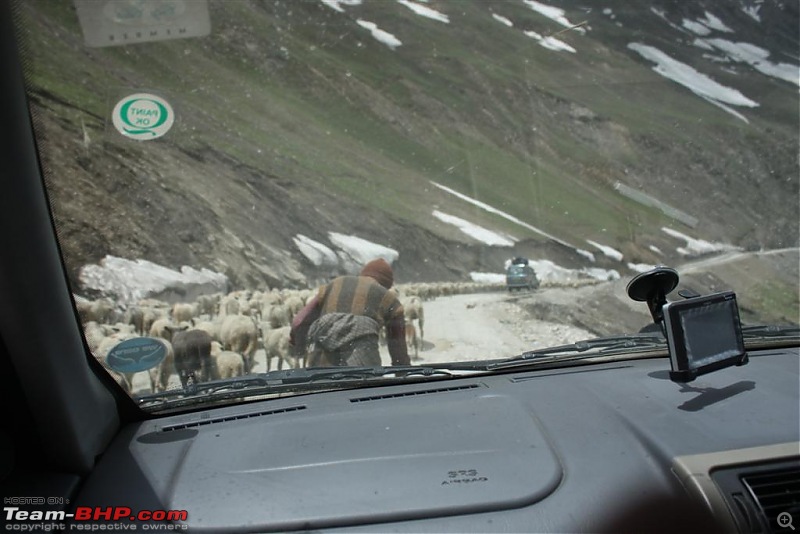 Better Leh'd than Never - a 3,004 kms round trip of a lifetime!-img_2263.jpg