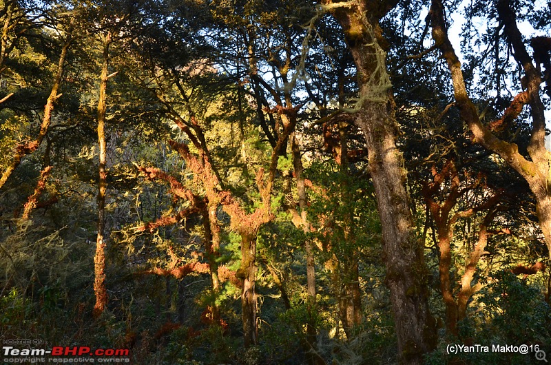 Alto'ed: Blessed in Bhutan-dsc_1907.jpg