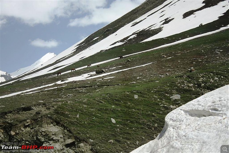 Better Leh'd than Never - a 3,004 kms round trip of a lifetime!-img_2301.jpg