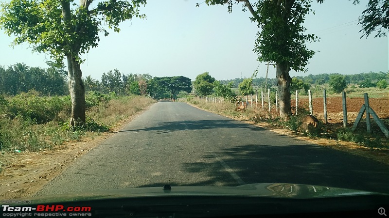 Sunday morning breakfast drive on the Bangalore-Mysore highway-17.jpg