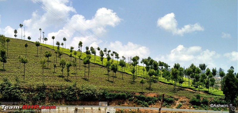 Dwarfing along - Dreaming of the hills (Ooty)-t1.jpg