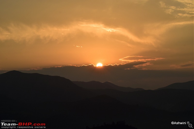 Dwarfing along - Dreaming of the hills (Ooty)-t15.jpg
