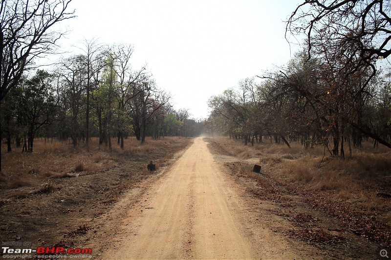 A road-trip to magnificent Madhya Pradesh-dpp_1571.jpg