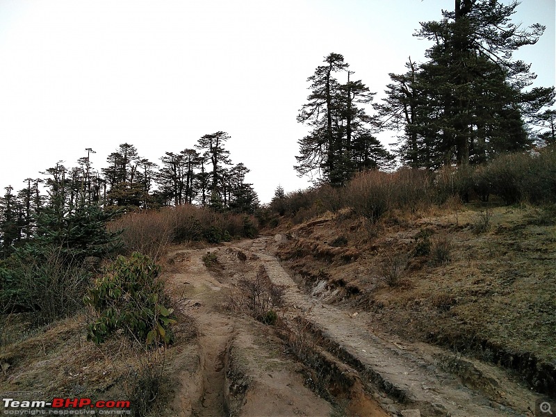 Sandakphu and beyond in a Mahindra Thar-img_20160325_053019.jpg