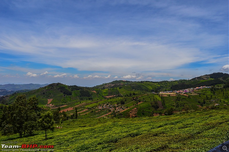 Ooty: Across gorgeous hills & forests on a Kawasaki-20160429dsc_0059.jpg