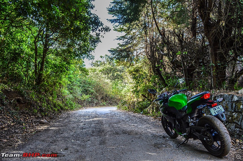 Ooty: Across gorgeous hills & forests on a Kawasaki-20160429dsc_0160.jpg