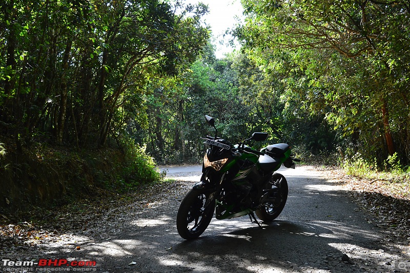 Ooty: Across gorgeous hills & forests on a Kawasaki-20160429dsc_0210.jpg