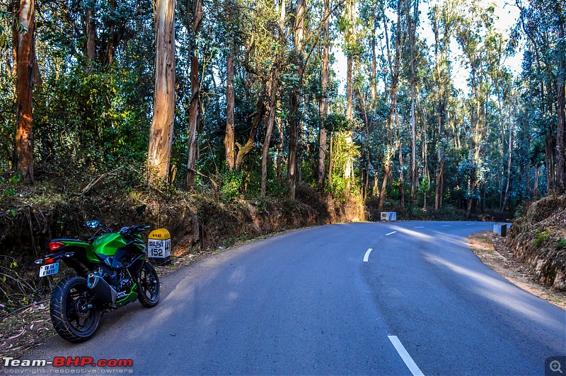 Ooty: Across gorgeous hills & forests on a Kawasaki-20160430dsc_0464.jpg