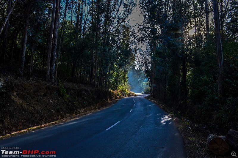 Ooty: Across gorgeous hills & forests on a Kawasaki-20160430dsc_0474.jpg