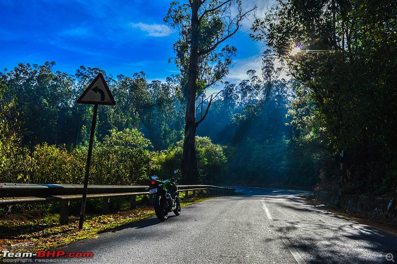 Ooty: Across gorgeous hills & forests on a Kawasaki-20160430dsc_0486.jpg