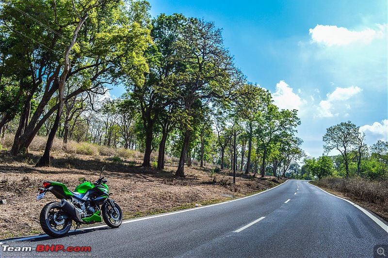 Ooty: Across gorgeous hills & forests on a Kawasaki-20160430dsc_0554.jpg