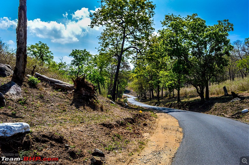 Ooty: Across gorgeous hills & forests on a Kawasaki-20160430dsc_0566.jpg