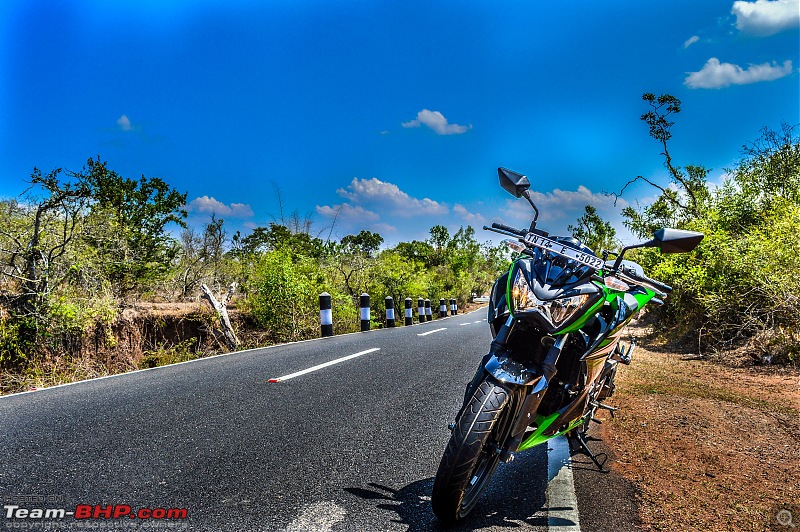 Ooty: Across gorgeous hills & forests on a Kawasaki-20160430dsc_0602.jpg