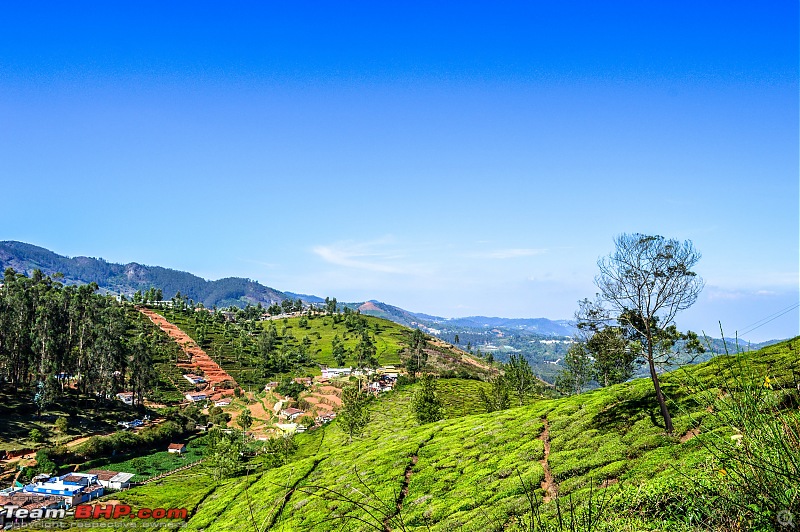 Ooty: Across gorgeous hills & forests on a Kawasaki-20160430dsc_0630.jpg