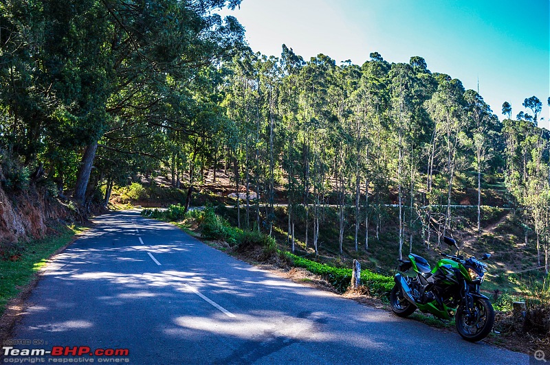 Ooty: Across gorgeous hills & forests on a Kawasaki-20160430dsc_0626.jpg