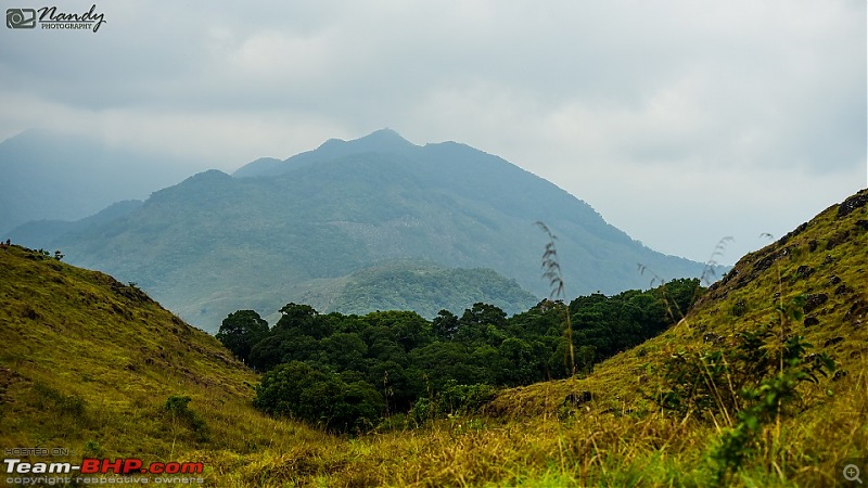 A beautiful beach and an enchanting hill station! Drive to Varkala and Ponmudi-20160409dsc_0456.jpg