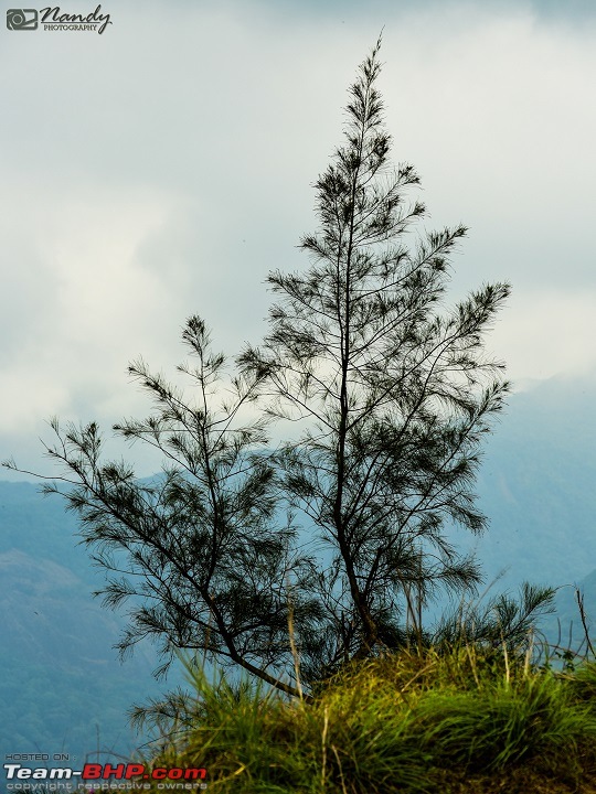 A beautiful beach and an enchanting hill station! Drive to Varkala and Ponmudi-20160409dsc_0479.jpg