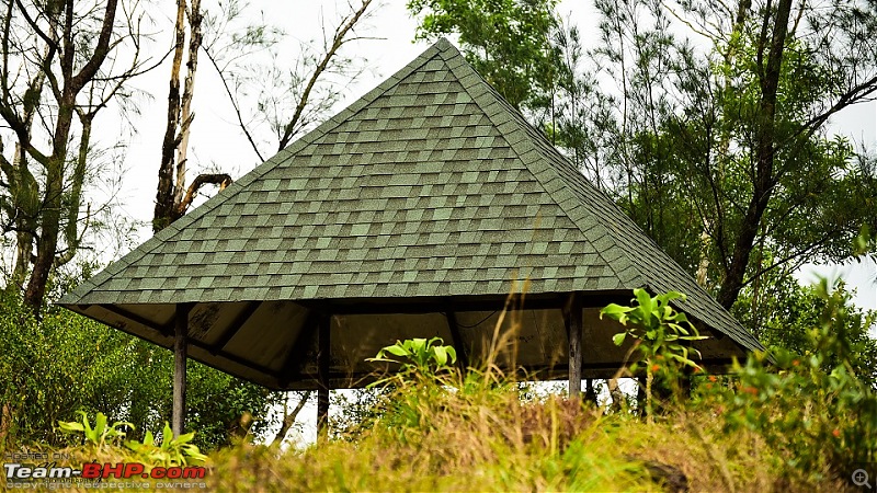 A beautiful beach and an enchanting hill station! Drive to Varkala and Ponmudi-20160409dsc_0559.jpg