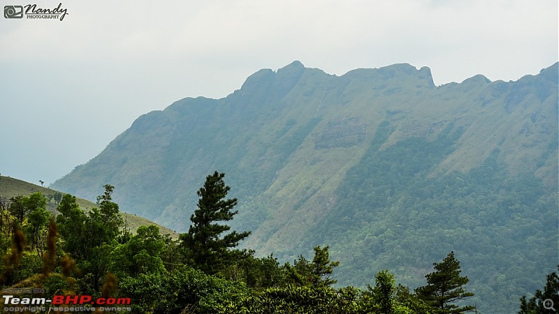 A beautiful beach and an enchanting hill station! Drive to Varkala and Ponmudi-20160409dsc_0568.jpg