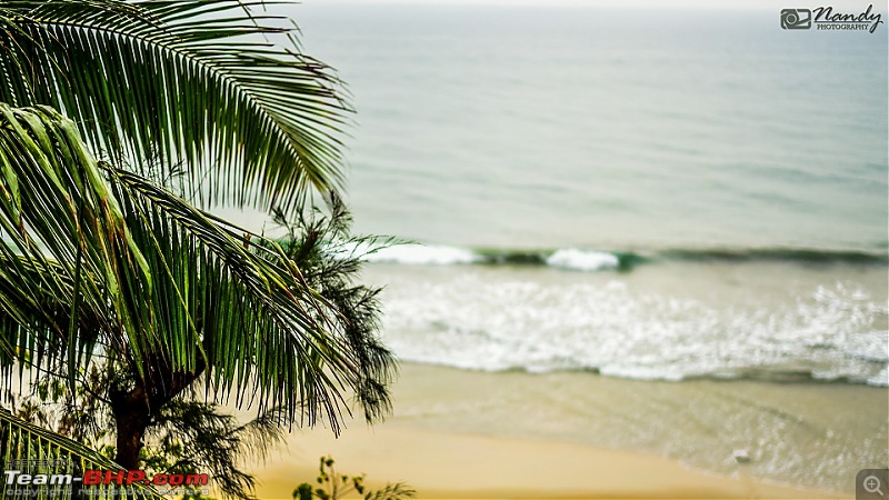 A beautiful beach and an enchanting hill station! Drive to Varkala and Ponmudi-20160409dsc_0665.jpg