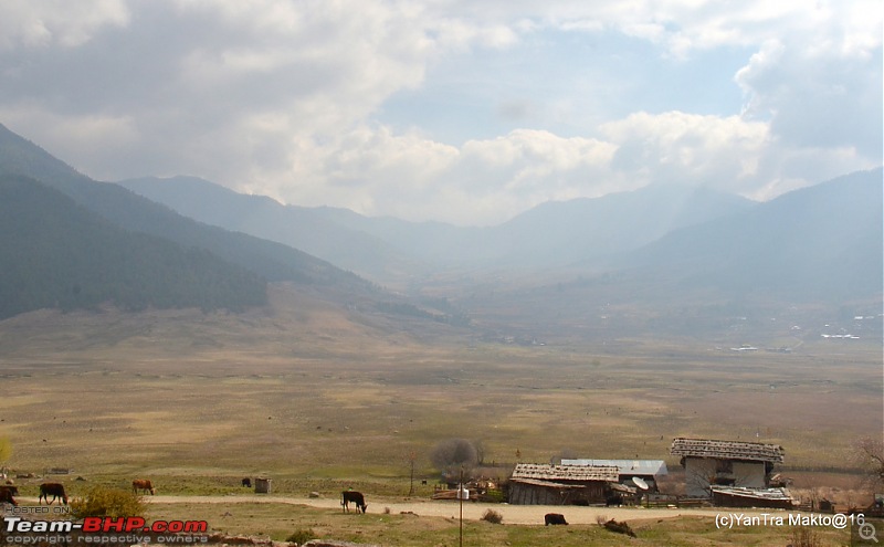 Alto'ed: Blessed in Bhutan-dsc_2213.jpg