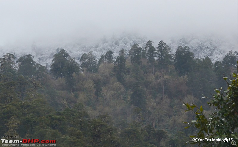 Alto'ed: Blessed in Bhutan-dsc_2416.jpg