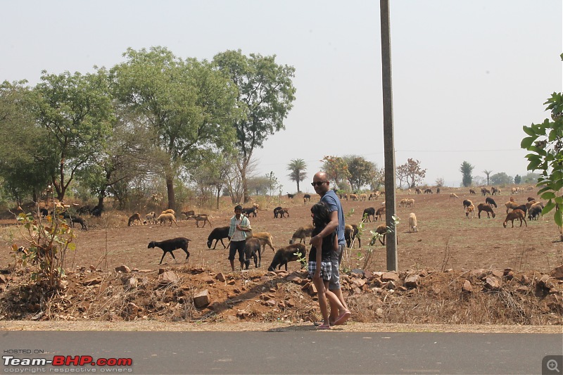 Burning up the road - Ahmedabad to Goa-13.jpg