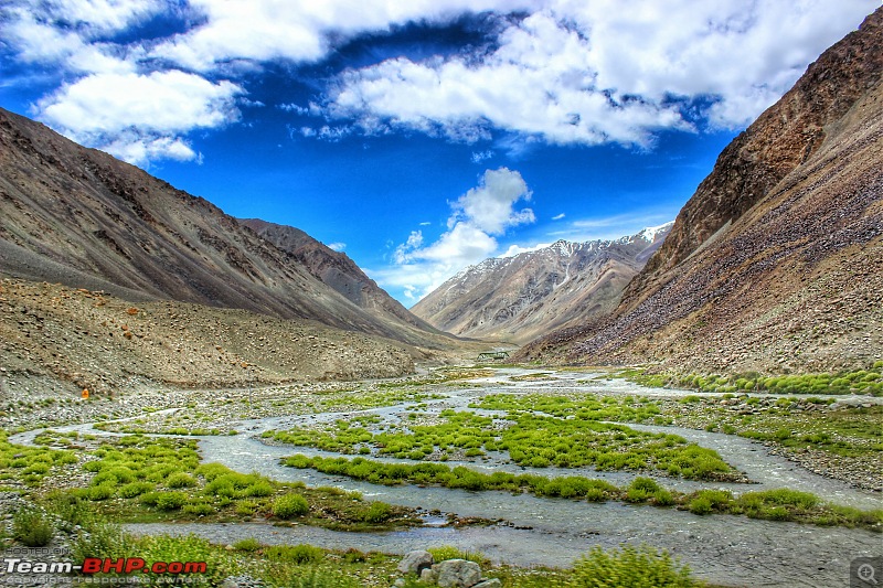 Ladakh Diaries-image2.jpg