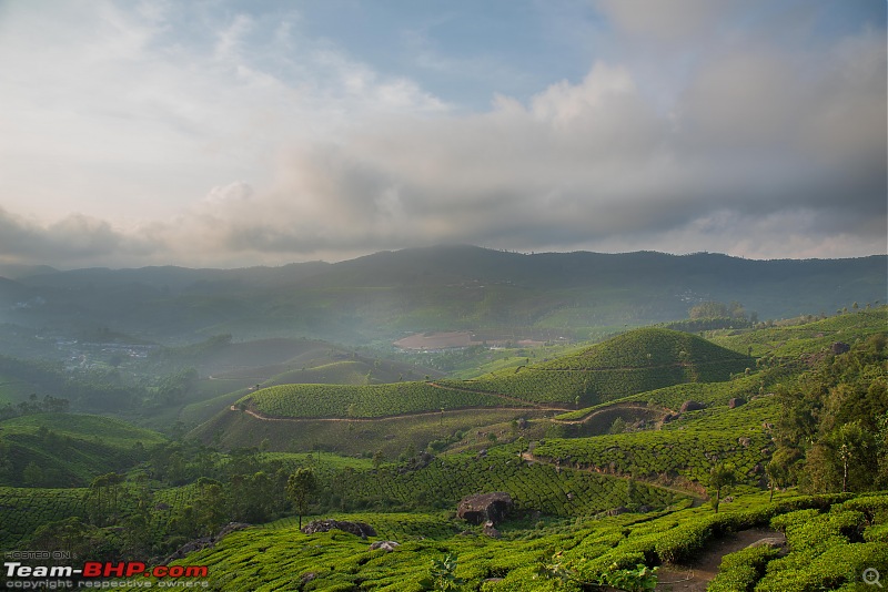 Munnar: Fresh air, Green hills and some birds-_dsc42162.jpg