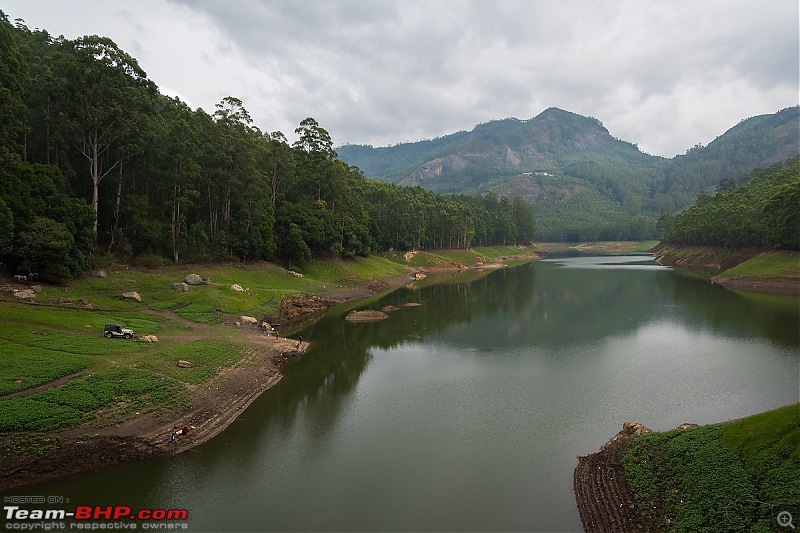 Munnar: Fresh air, Green hills and some birds-156441.jpg