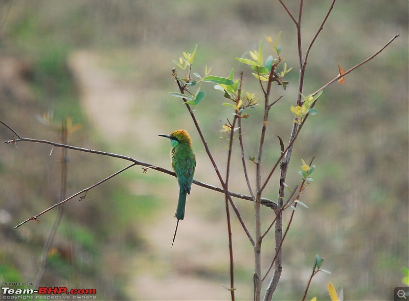 West Bengal - A treasure for tourists-dsc_5422.jpg