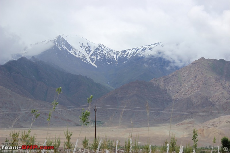 Ladakh Diaries-img_2778.jpg