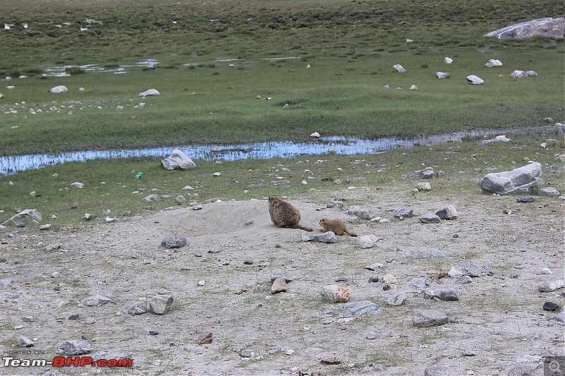Ladakh Diaries-img_2959.jpg