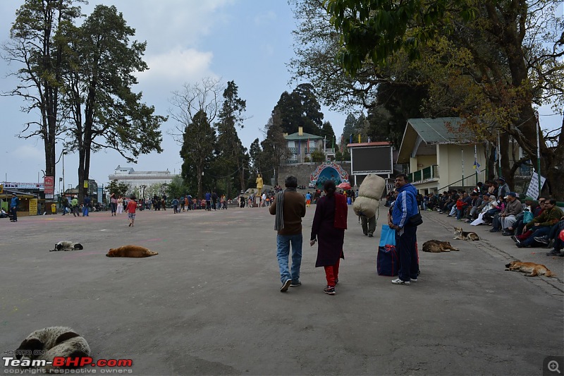 Trip to the Queen of Hills - Darjeeling in a Fluidic Verna-dsc_0398.jpg