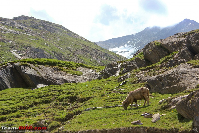 Ladakh Diaries-img_20150921_000541_resize.jpg