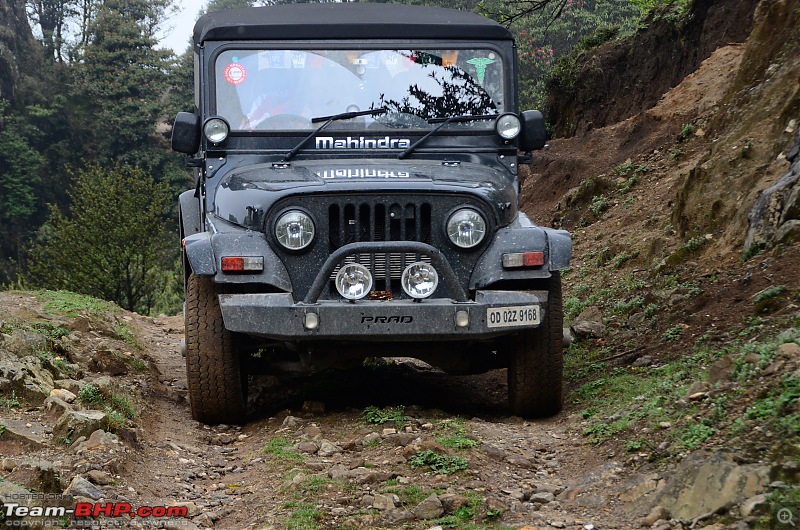 Pajero, Duster & Thar: Zero visibility raid on Sandakphu!-dsc_0248.jpg