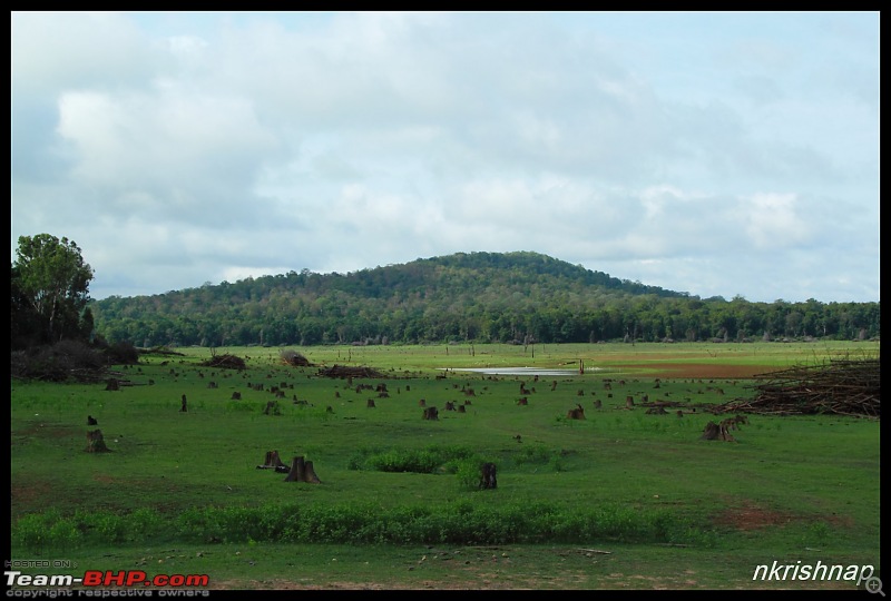 Wildlife at Nagarhole & Kabini-img_7771.jpg